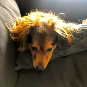 Meet your Posher, Karie